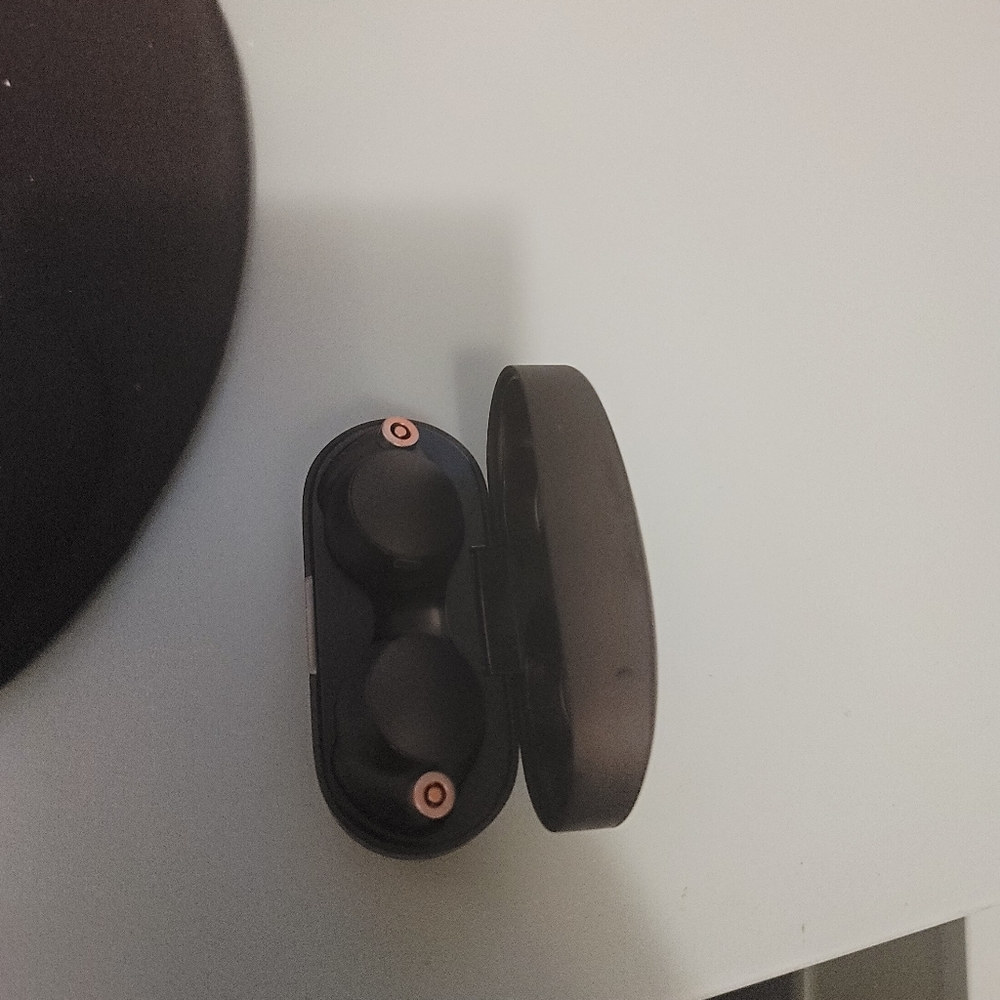 Earbuds - Picture 2 of 3